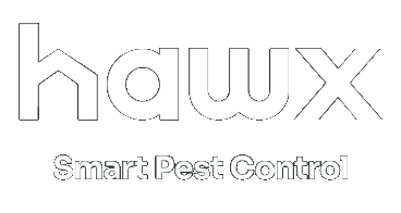 Hawx Logo